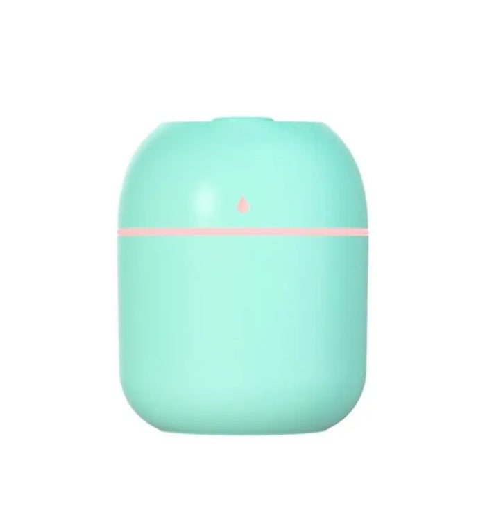 Portable Mini USB Humidifier (220ml)