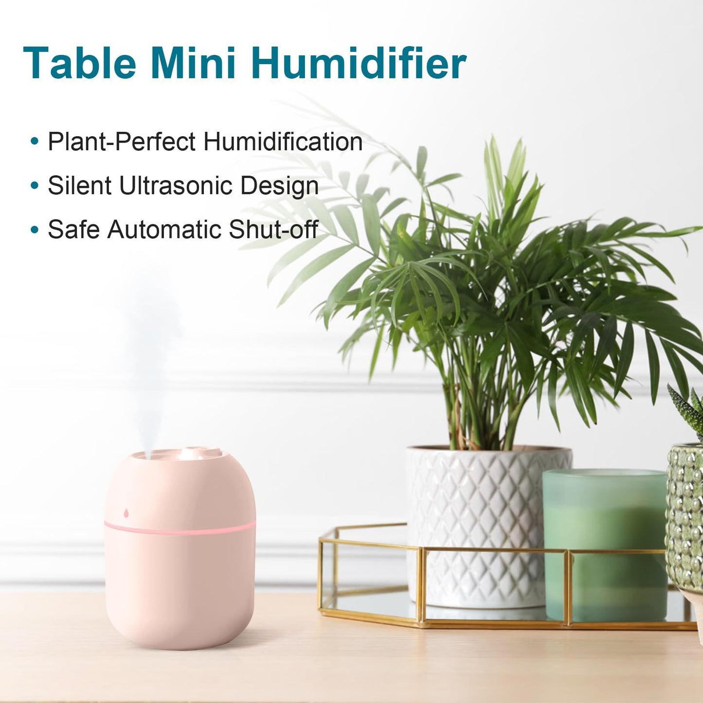 Portable Mini USB Humidifier (220ml)