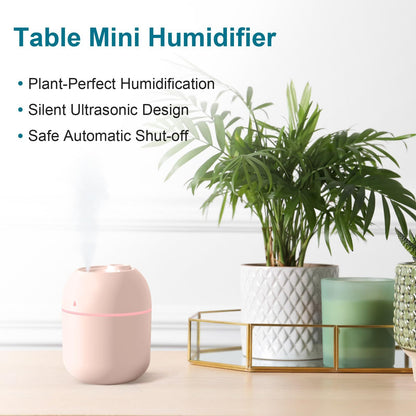 Portable Mini USB Humidifier (220ml)