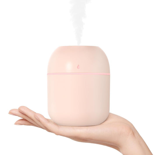 Portable Mini USB Humidifier (220ml)